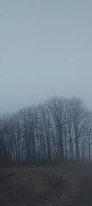 ������ �������: ��������� ���� ������ �������