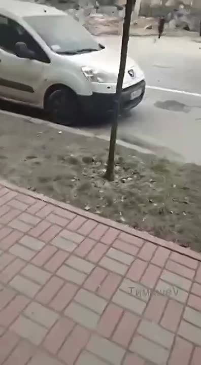 ����� �������: ����. ����������� ��������� ������������