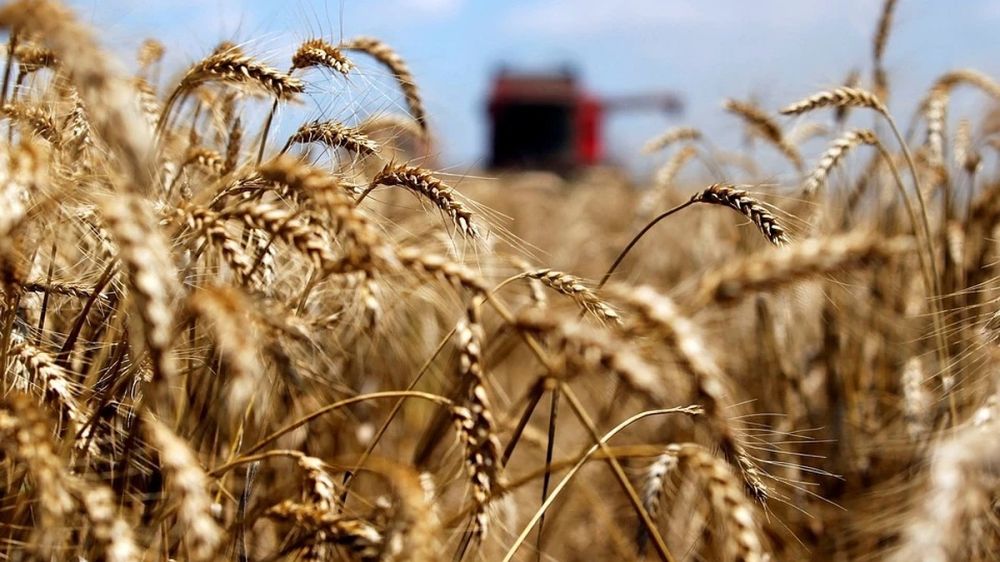 FT: ����������� ������� ����������� ����� � �� ������� ��������