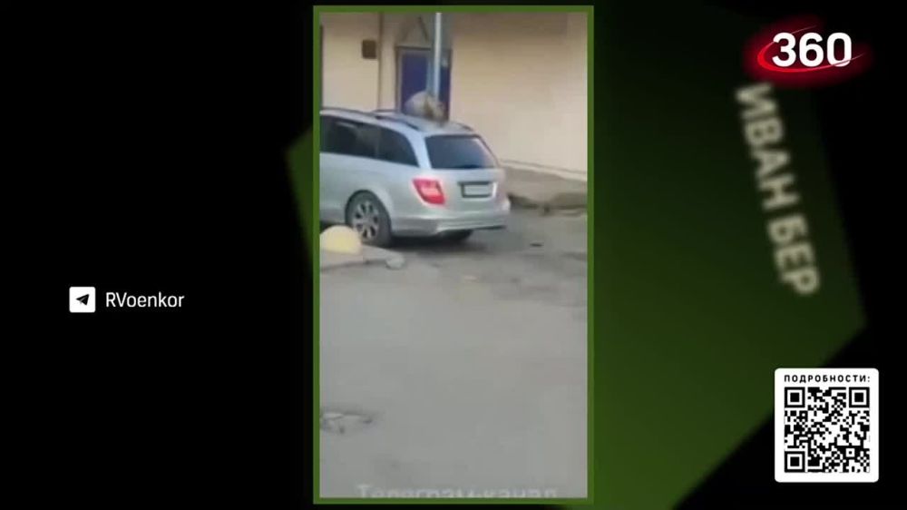� ����� ��������, ��� ��� ������ ��������������