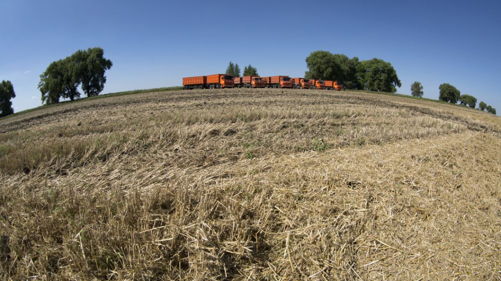 ������� ������ �� ������. ������ �����������