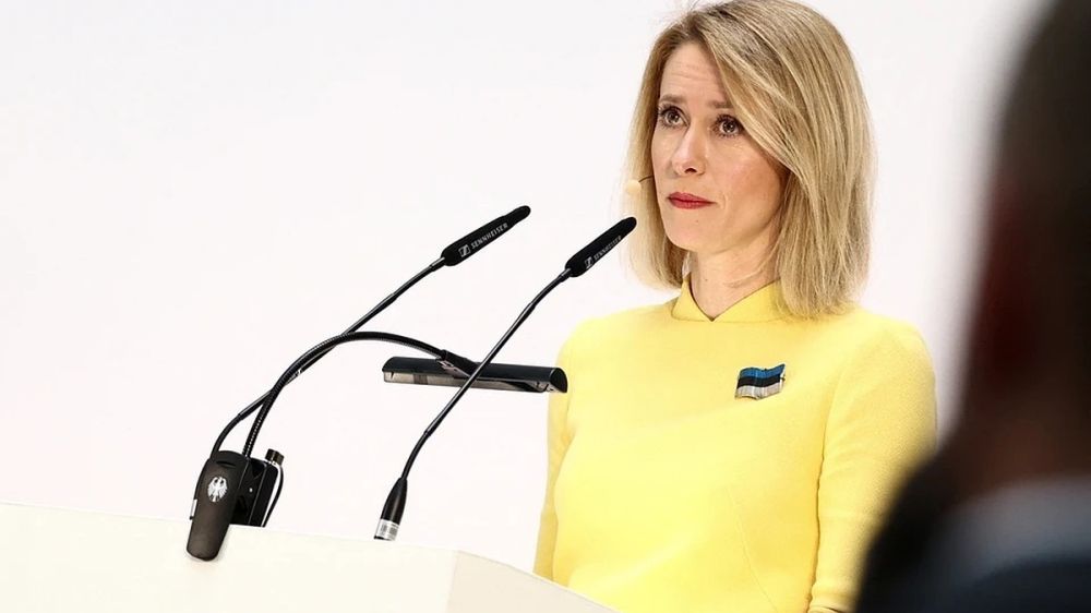 Премьер-министр Эстонии Каллас выразила тревогу из-за нехватки боеприпасов у ВСУ