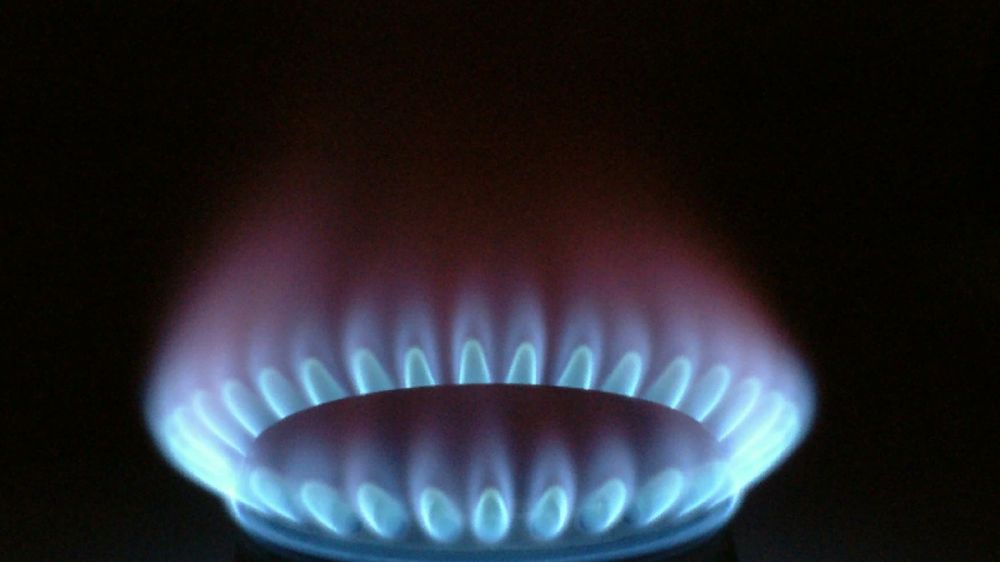 Reuters: ��� ����� ����� ������ �� ������� ��� ���� ������������ ������ �����