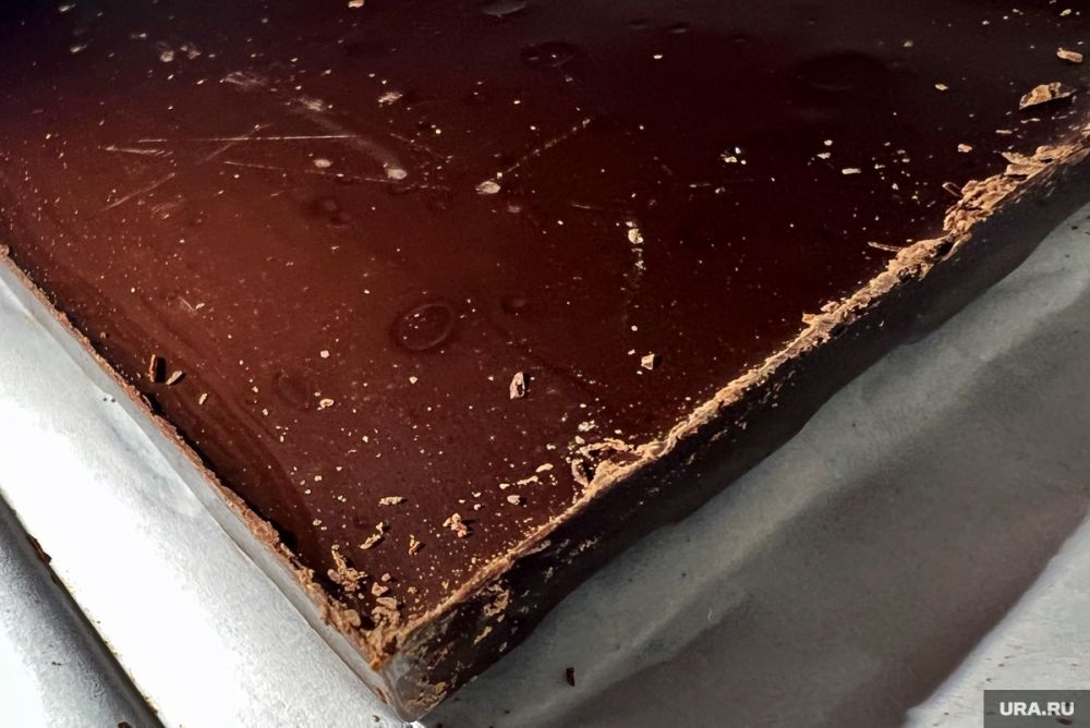 � ����� ���� ���������� ������������ ��������� � �����������