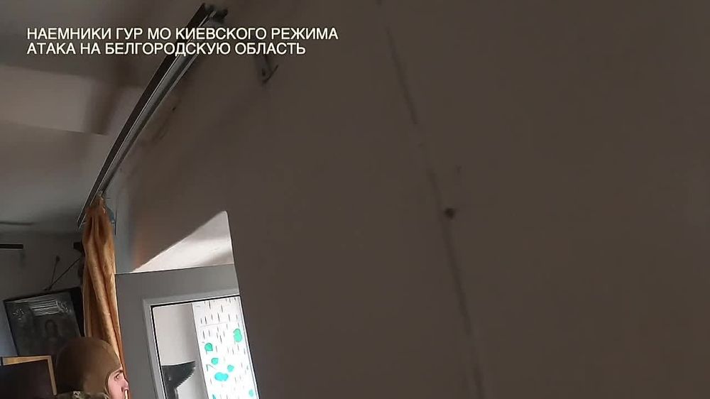 ������� ���������: ️ВАЖНО (часть 3). АМЕРИКАНЦЫ АТАКОВАЛИ БЕЛГОРОДЧИНУ