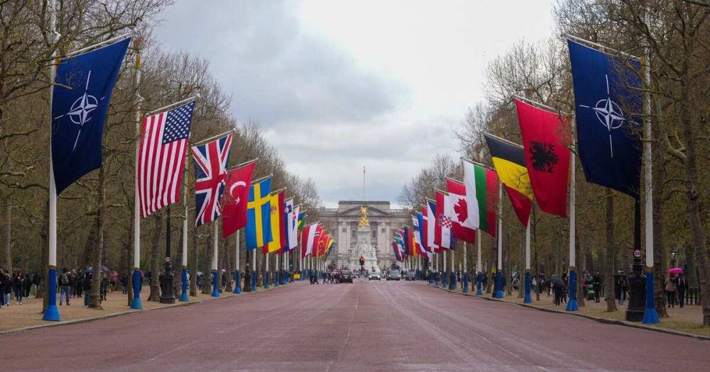 ������ ����: ������ ������, ��� ����������� �� ������