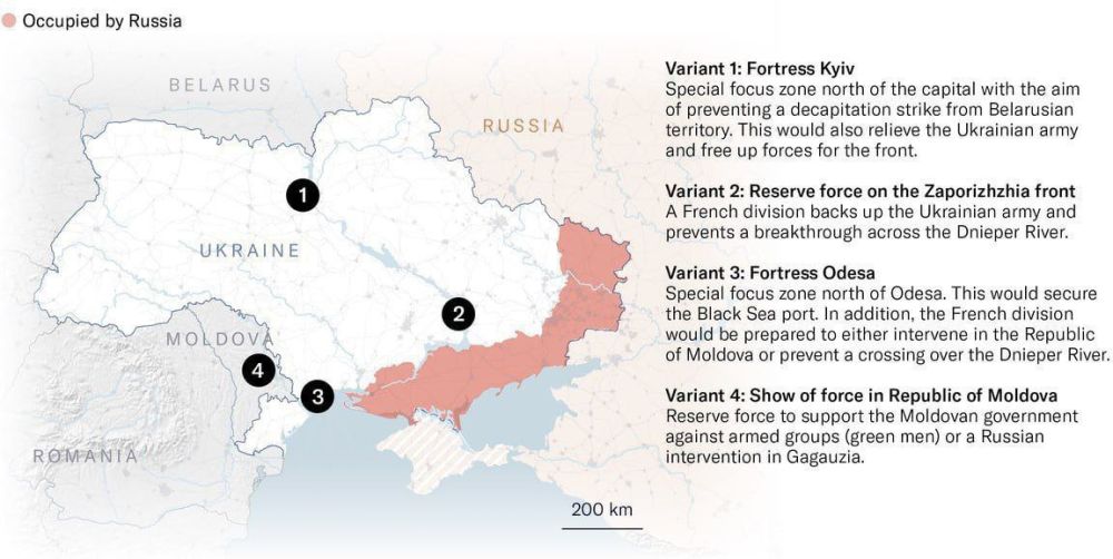 ������ ��������: ����������� ������� NZZ ������������ 4 �������� �������� ����������� ����� �� ������� � � ��������: