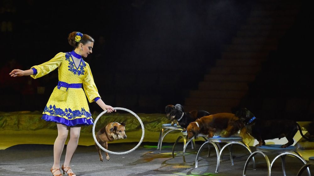 �������� ������� ���� ����������� ���� � ������ ���������� ������ �����������