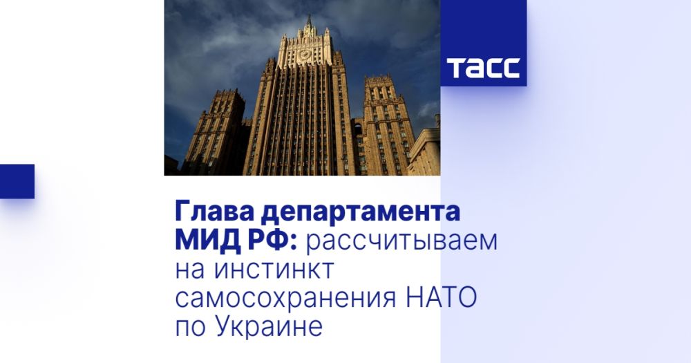 Глава департамента МИД РФ: рассчитываем на инстинкт самосохранения НАТО по Украине