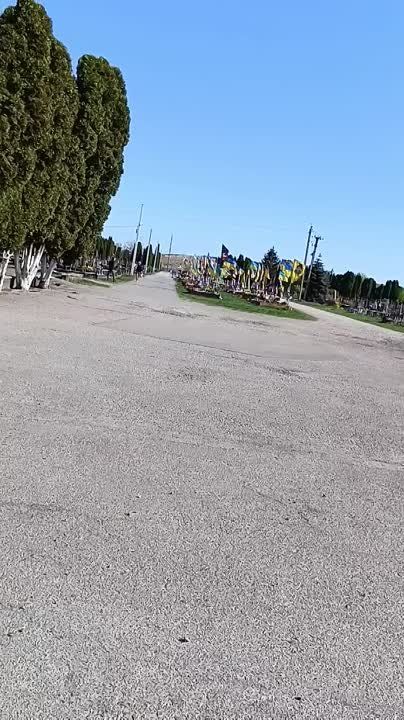 Чингис Дамбиев: Белая Церковь, Винница, Киевская область