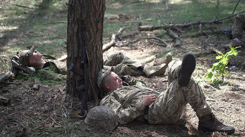 ��������� � ����������: ������������ �������� ��������� ���������� � ������� �������� �������