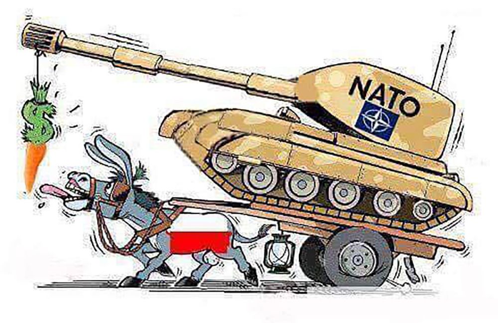 Михаил Онуфриенко: Анджей Дуда объявил о передачи Киеву очередного пакета помощи в виде зенитных ракет, которые использует польская армия, пишет Defence 24