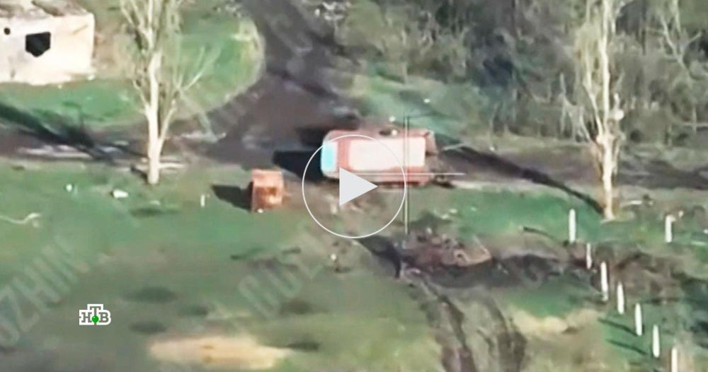 ������� ������ ���������� ����-�������� ������� ���� �� ���