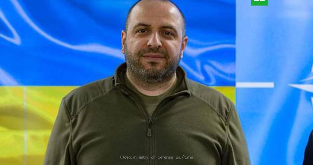 ���: ������ ����� �������� ���� ����� ���������� �������