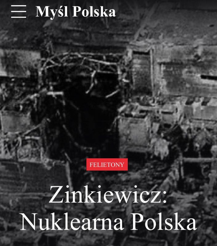 «Ядерная Польша»: Поляки забеспокоились — стоит ли размещать у себя ядерное оружие США, чтобы всей нацией превратиться в радиоактивный пепел из-за ответа России?