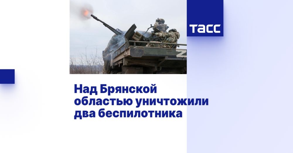 Над Брянской областью уничтожили два беспилотника