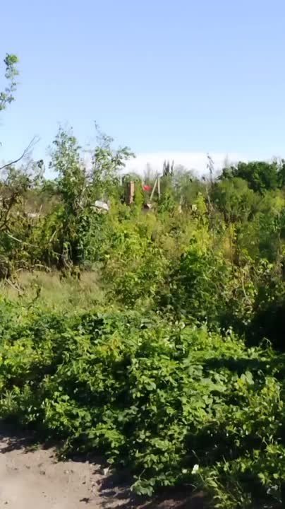 ������� ��������: ���� ����� ������ � ���������� ������