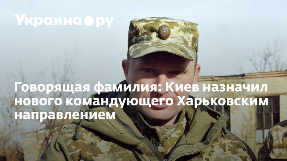 ��������� �������: ���� �������� ������ ������������ ����������� ������������