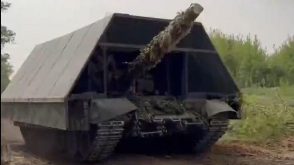 Лишних надежд питать не стоит: военный историк прокомментировал работу "Царь-мангала"