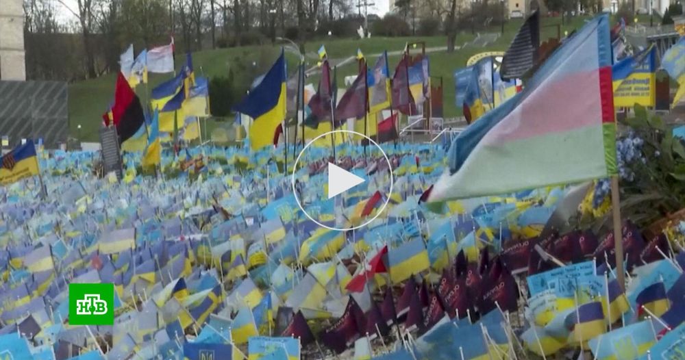 ������� ������ �����: ����������� ���������� ����� ������� �������� �� ������