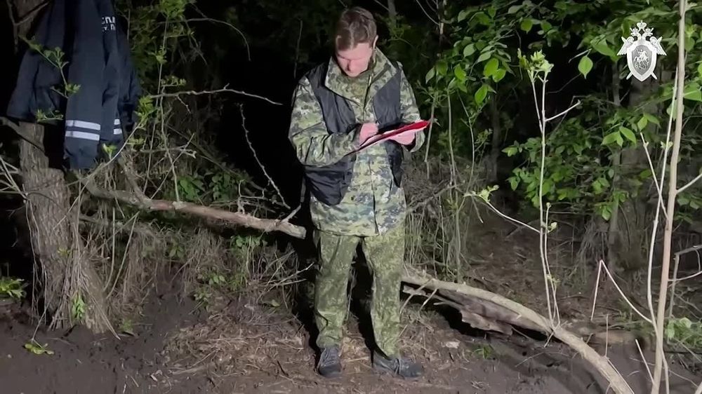 В Краснодаре перед судом предстанут фигуранты уголовного дела об убийстве аниматоров