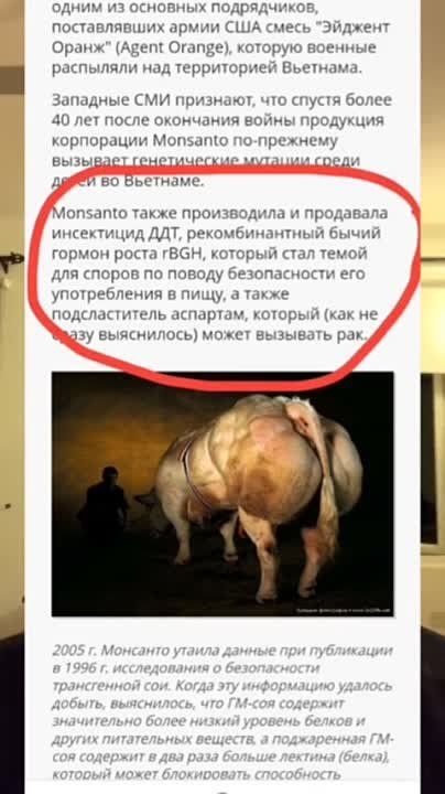 ������� ��������: ��� �������, ������� ������ ����������� ���������