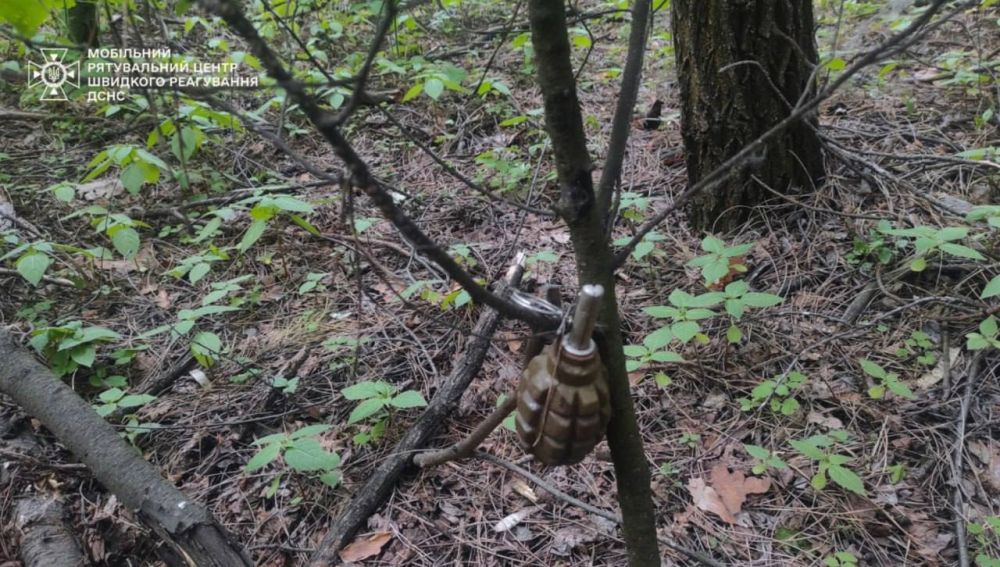 На Киевщине нашли и обезвредили гранату, установленную на растяжке