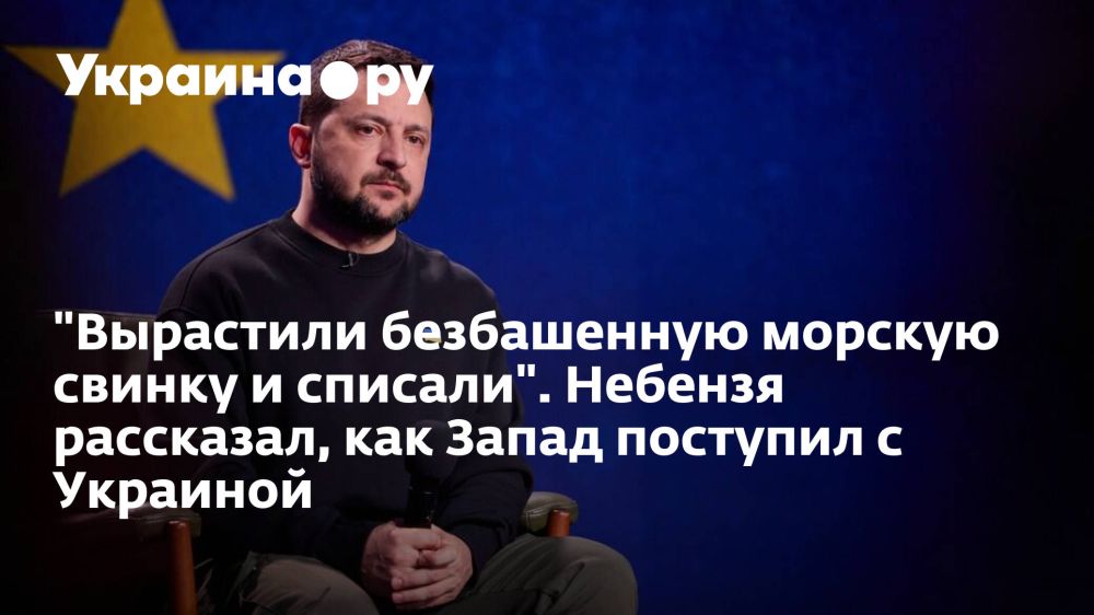 "Вырастили безбашенную морскую свинку и списали". Небензя рассказал, как Запад поступил с Украиной