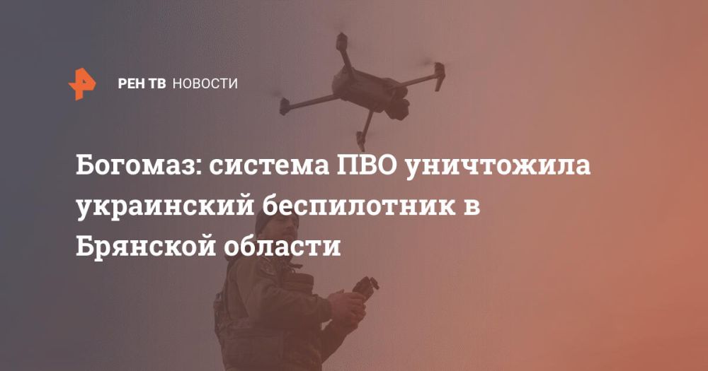 Богомаз: система ПВО уничтожила украинский беспилотник в Брянской области