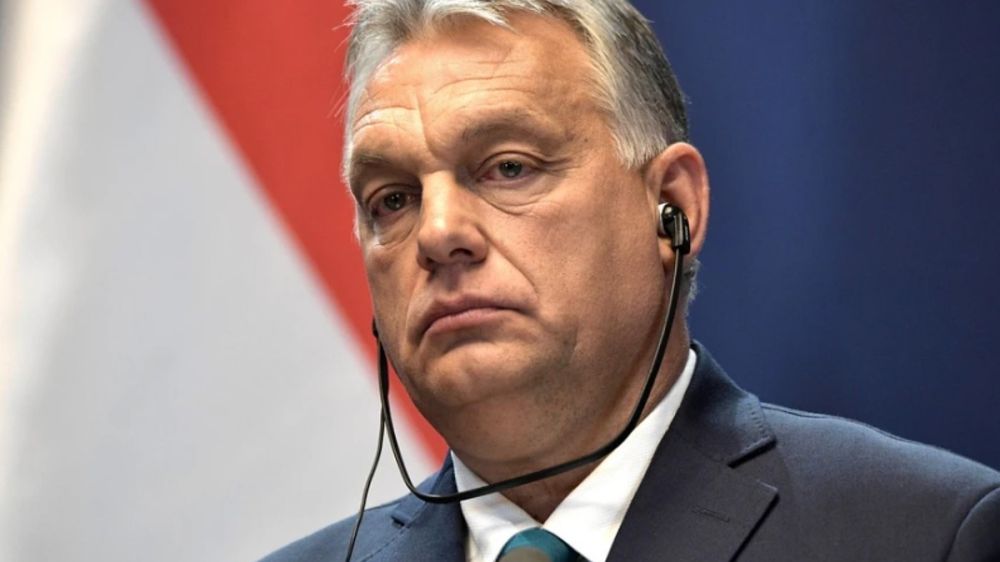 �����: � �������� ������, ��� ���� ����� �� ����������� � ���������� ���������