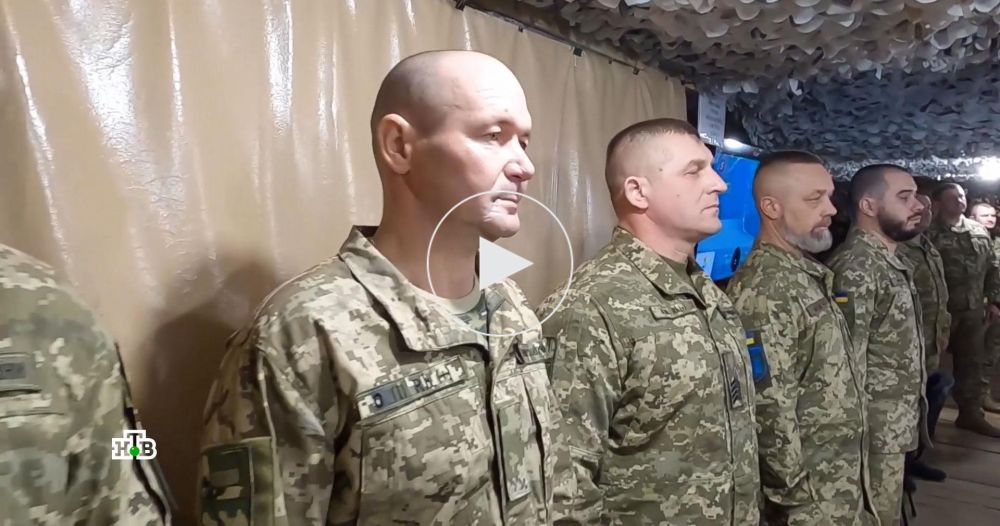 ���� �������: ���-������� ��������� ���� ��������� � ������ ������ ����� �������