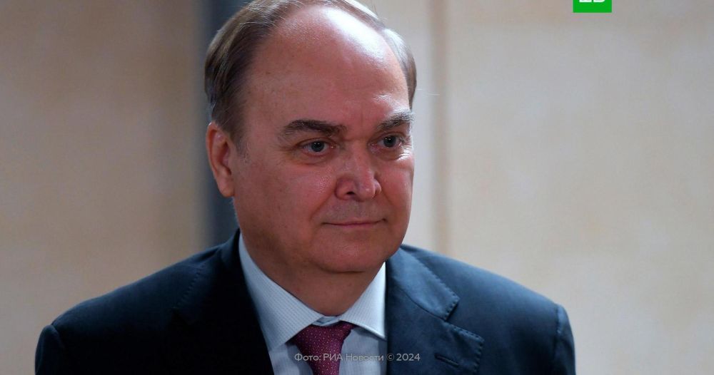 ����� �������: ��� ���������� �������������������� � ���� �� �������