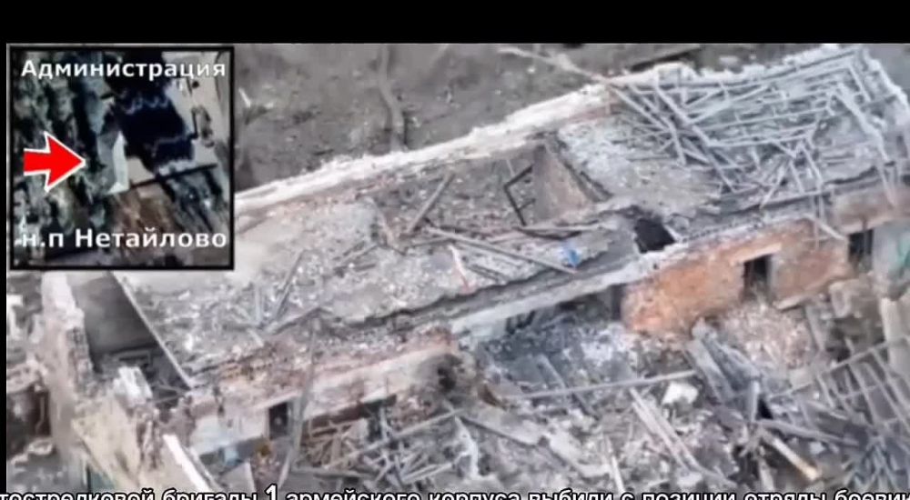 Вадим Топалов: Российский флаг над Нетайлово