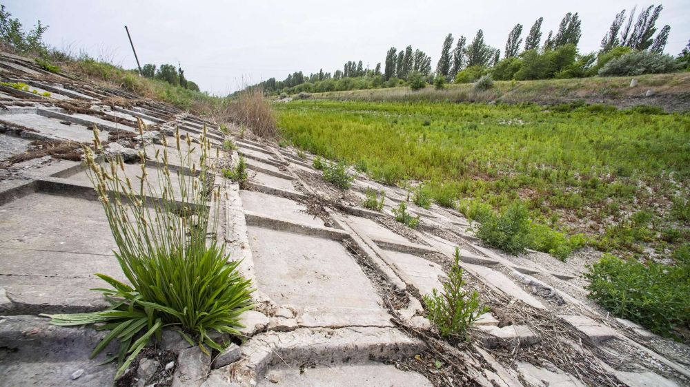 �������� ������ �� ��������� �� ������� ��������� ������-�������� ����� � ����������