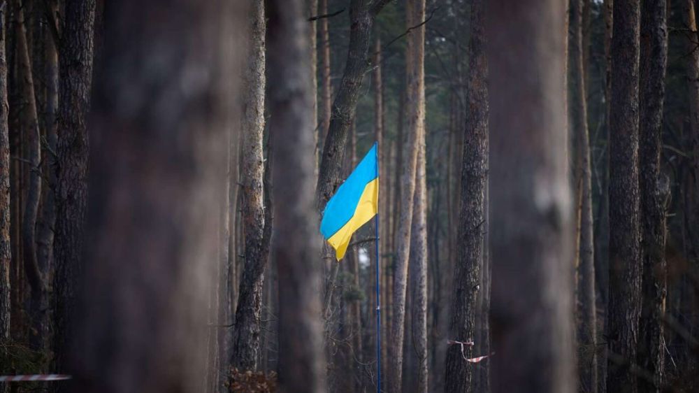 ����� ��� ����� � ����������� ������� � ����������� �� �������� ������ � ���