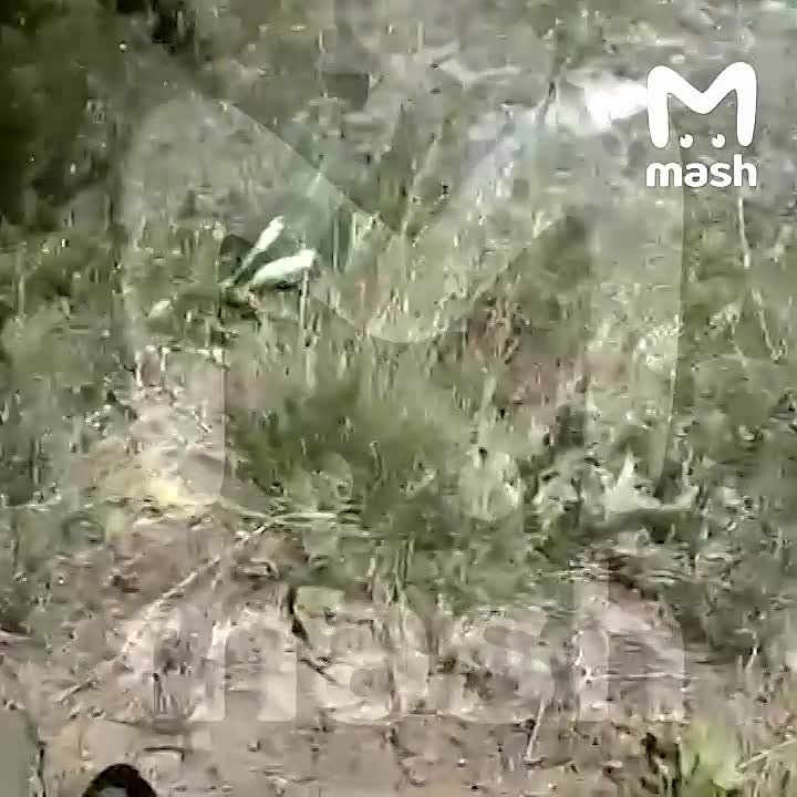  :        ,        30 ,      