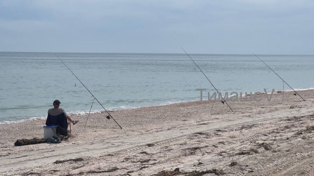 ����� �������: �������� ����. ������� �� ���������� ������� �� �������. ������, �������, ������ � ����� ������� ���� ���, ��������, ���������� � ������ �������