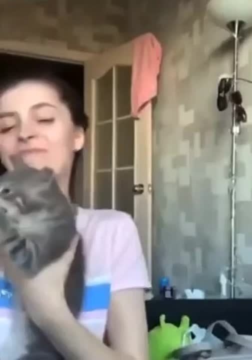 ���� ��������: ������ �� ������, ��� ��������� �������� � ���