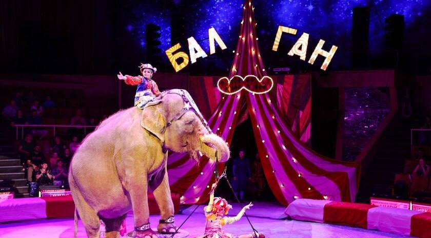 ��������� ���: : ����� ������� ������� ��������� ���