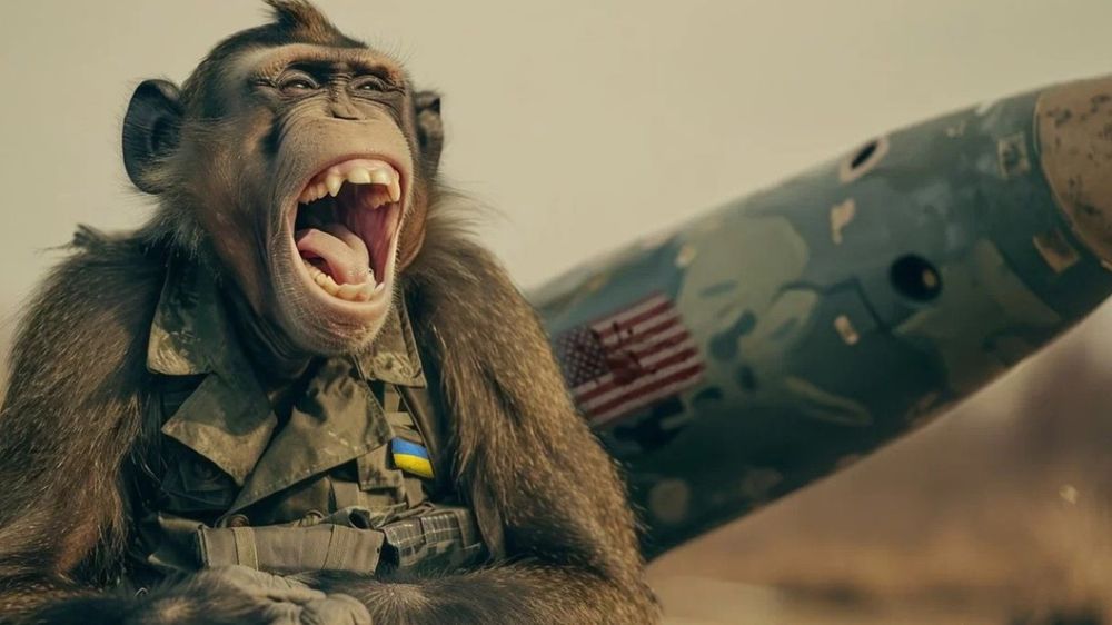 ������� ������������ ��������� �������������� ��������: ���� ��������� ��������� ������� ���