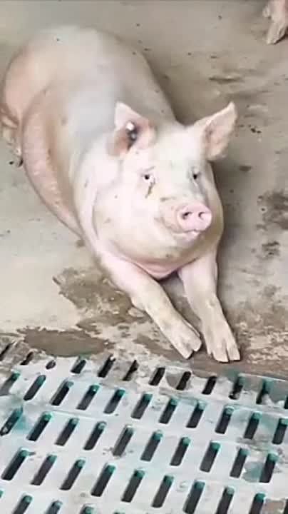 ���� ��������: ��������� �������. � ��������� ������������������ ��������� �� ����� � ��������� �� ����� �� �������: "�������, ��� �������, ������ ���� ����� ������"