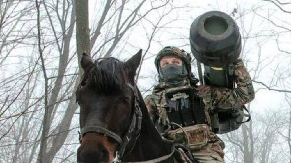 Кнут и репрессии: Шеслер о том, что делают на Украине "за неверно сказанное слово"