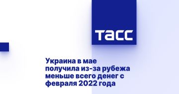     -       2022 