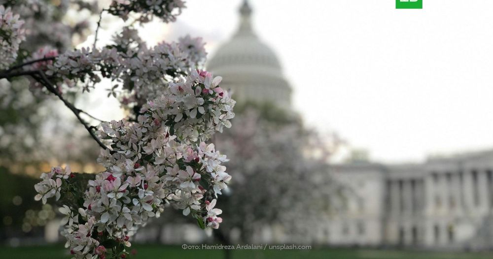 ����� ���: ��� ����� ���������� ������� ���� ������������ � Patriot � NASAMS