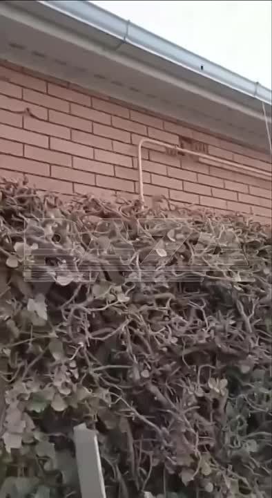 ������� �����������: ��������� ������������ ��������� ������ � ��������� ������� ���������