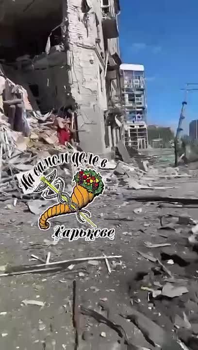 ������� ��� � �������� ��������� ��������� ���� �������� ������������, ����� ��-����� ��� ����� ���� � ��������