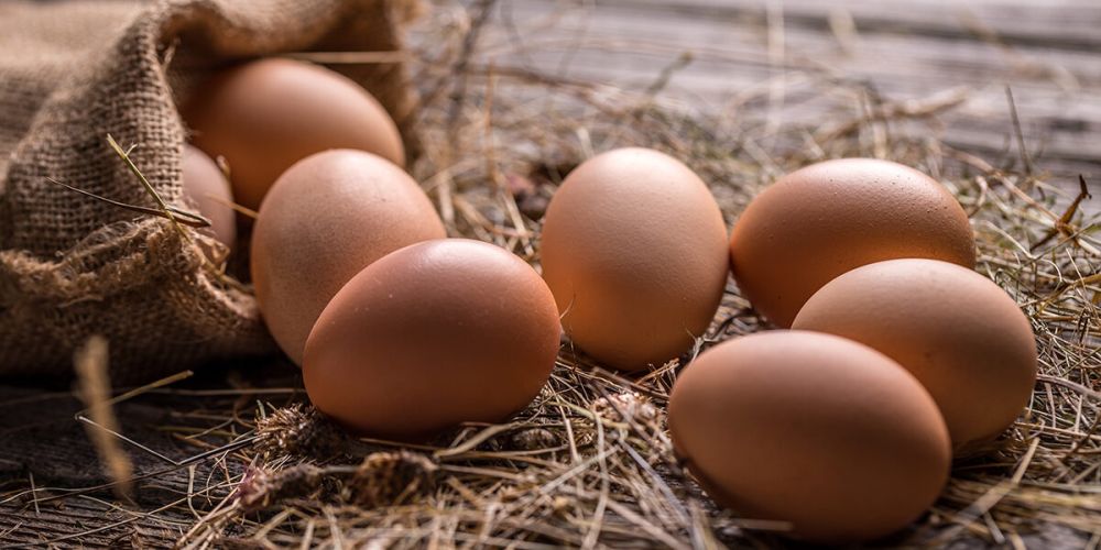 �� ����������� ��������� ������� �� ���� � ����� �� ������� � FT