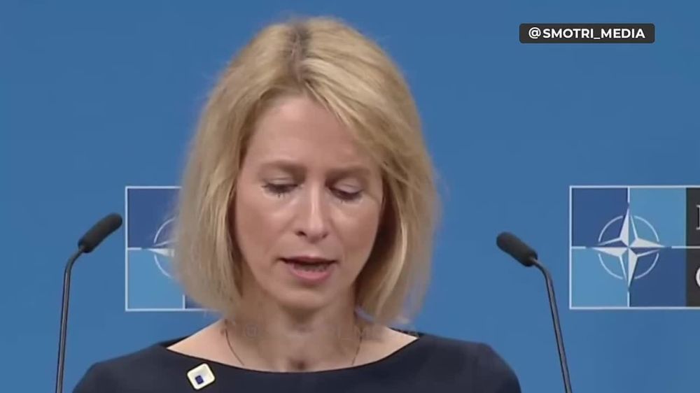 ���� ������: ������ �������������������� ������� ������ ��������� "������� ������ �����" � �������� ���� � ��������� �� �������