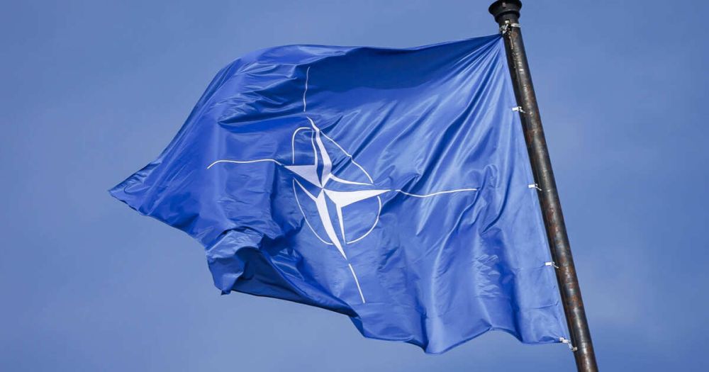 Newsweek: ��� �� ����� ��������� ������� � ����, �������� �� ��������