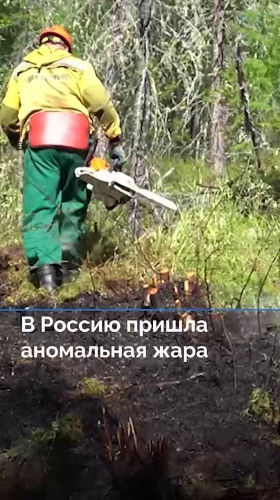 ������� �� �������� �������� � ����� ����: